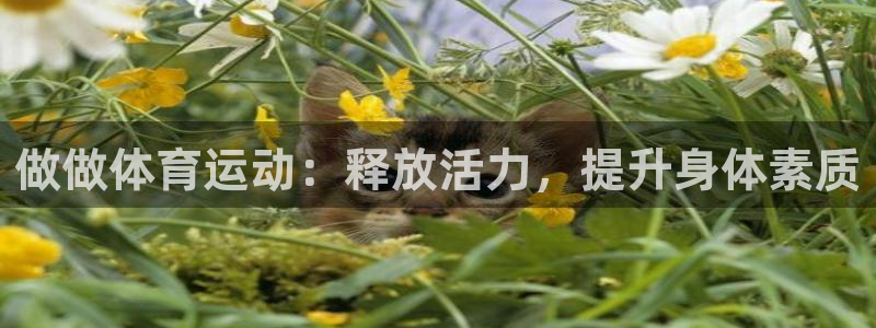 意昂体育凯捷平台注册