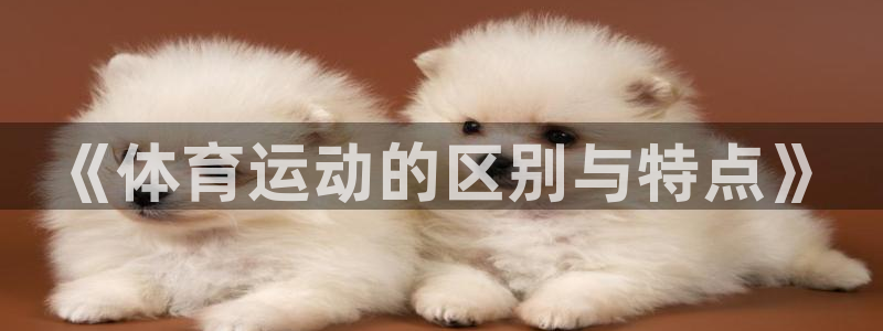 意昂体育用品