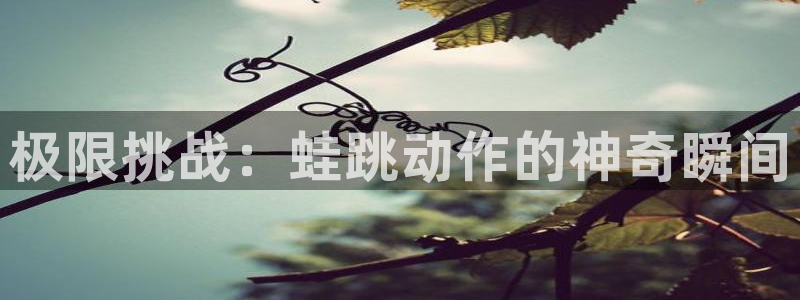 意昂体育f开号