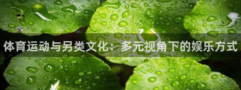 意昂体育eon