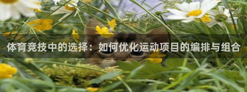 意昂官网注册