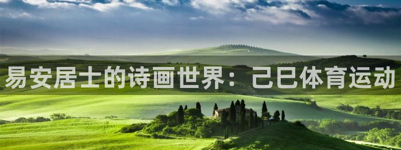 意昂体育和杏耀是哪个公司的