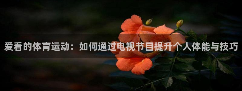 意昂3平台注册