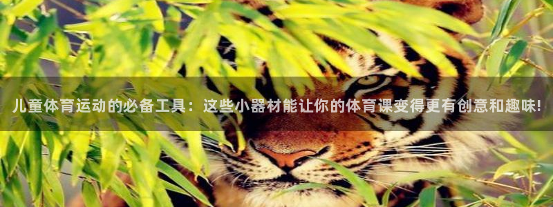 北京意昂科技有限公司