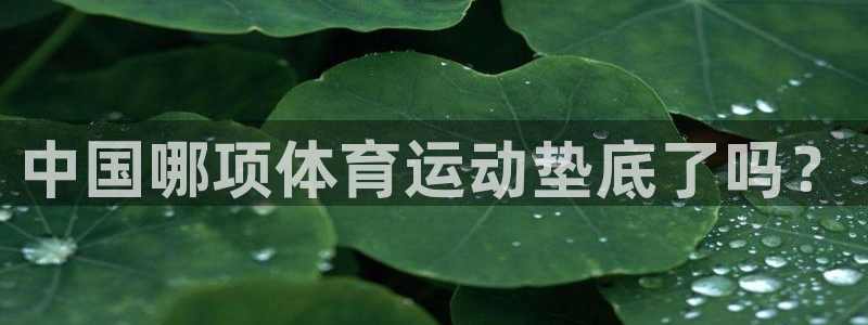 意昂3登录