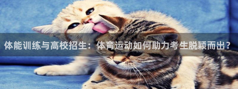 意昂代理注册官网入口