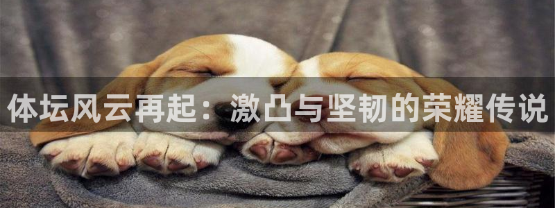 成都意昂电子有限公司
